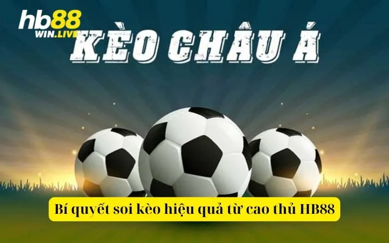 Bí quyết soi kèo hiệu quả từ cao thủ HB88