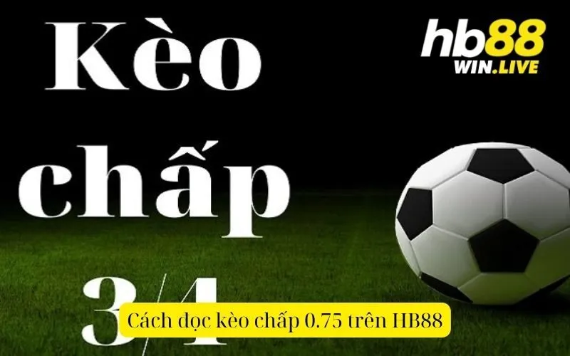 Cách đọc kèo chấp 0.75 trên HB88