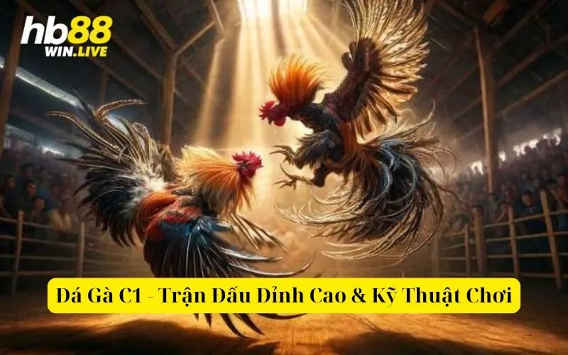 Đá Gà C1 - Trận Đấu Đỉnh Cao & Kỹ Thuật Chơi