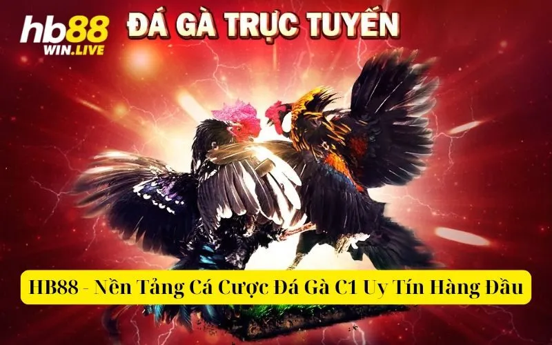 HB88 - Nền Tảng Cá Cược Đá Gà C1 Uy Tín Hàng Đầu