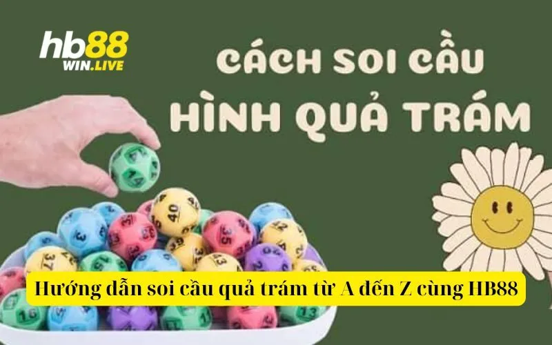 Hướng dẫn soi cầu quả trám từ A đến Z cùng HB88