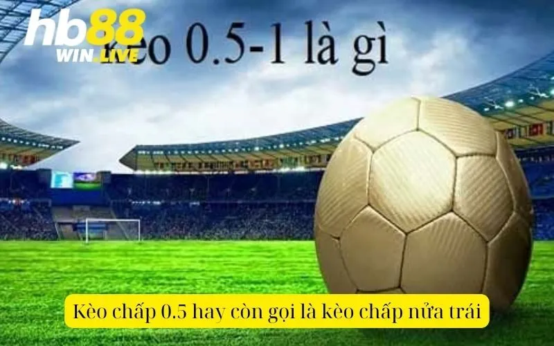 Kèo chấp 0.5 hay còn gọi là kèo chấp nửa trái