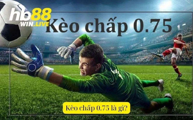 Kèo chấp 0.75 là gì?