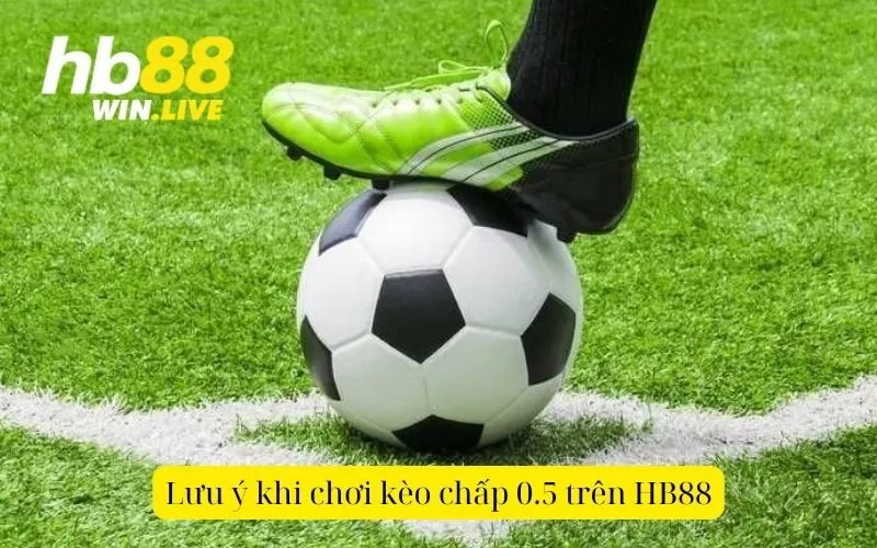 Lưu ý khi chơi kèo chấp 0.5 trên HB88