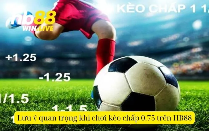 Lưu ý quan trọng khi chơi kèo chấp 0.75 trên HB88