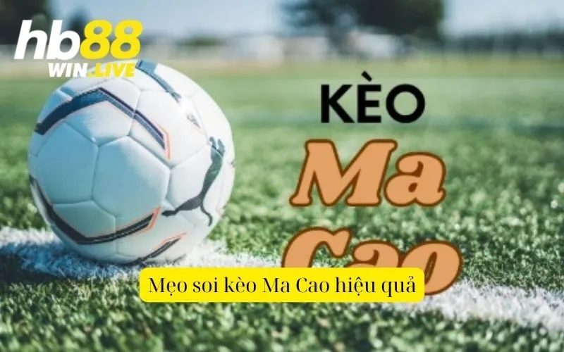 Mẹo soi kèo Ma Cao hiệu quả