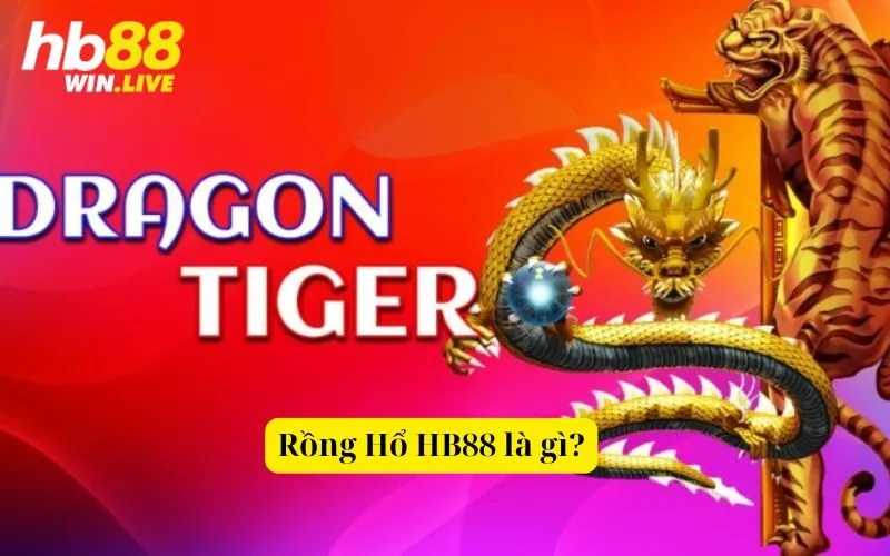 Rồng Hổ HB88 là gì