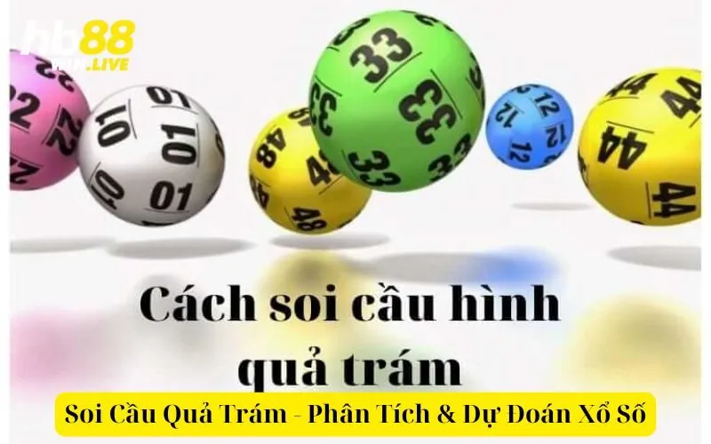 Soi Cầu Quả Trám - Phân Tích & Dự Đoán Xổ Số