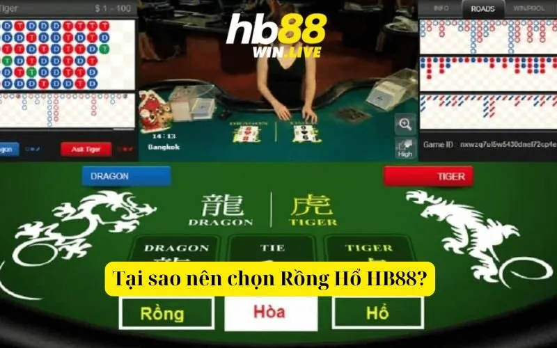 Tại sao nên chọn Rồng Hổ HB88