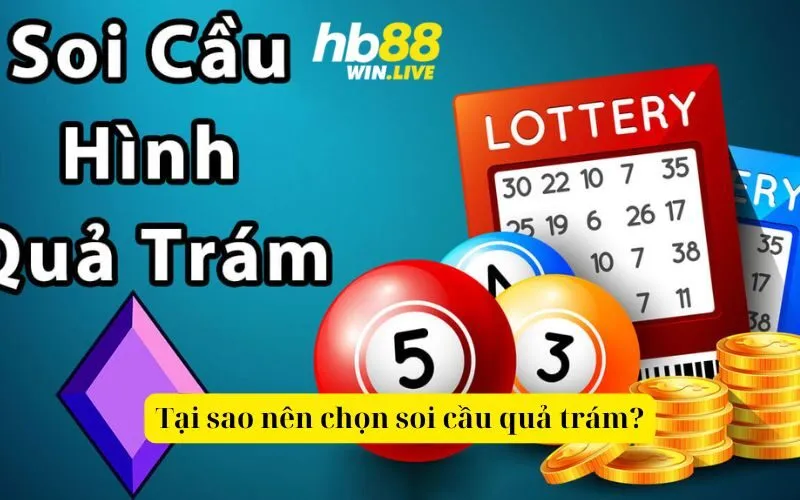 Tại sao nên chọn soi cầu quả trám?