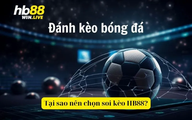 Tại sao nên chọn soi kèo HB88